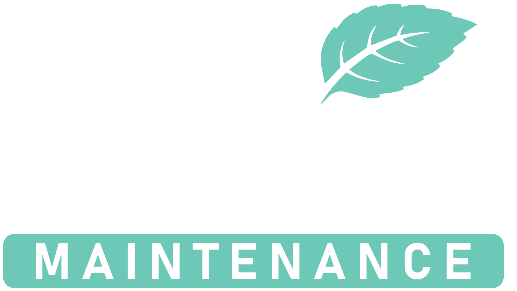 MINT MAINTENACE LOGO - TRANS